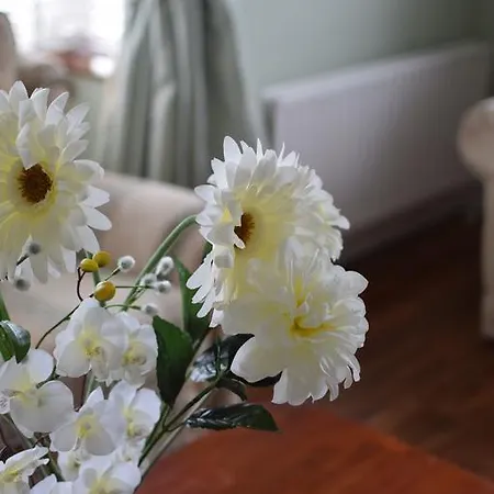 Fernhill House Tramore B&B Bed & Breakfast