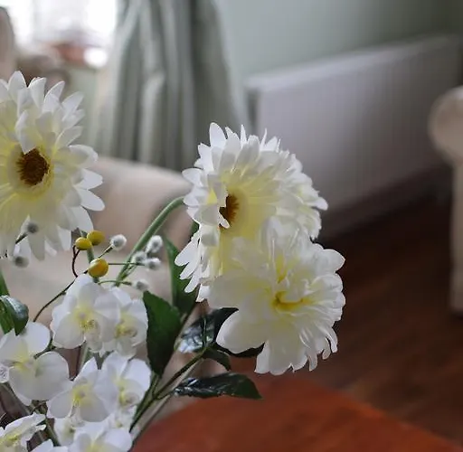 Fernhill House Couette-café